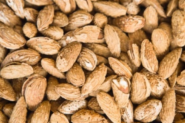 تصویر 3 از معرفی بادام پوست کاغذی محب + بهترین قیمت خرید